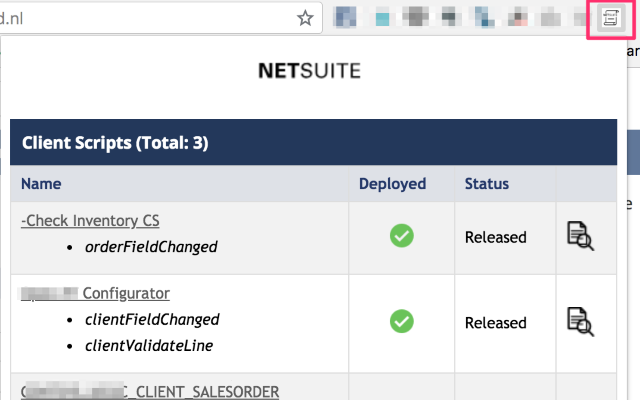 NetSuite Scripted Records extension